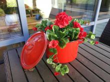 punainen kukkapurkki pöydällä